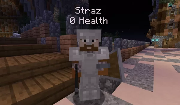 Stráž